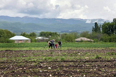 Armenians illegally appropriate 10 hectares of Georgian land